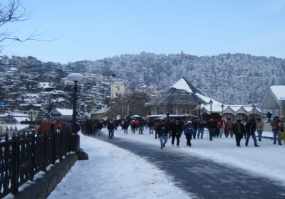 Shimla Tax Service